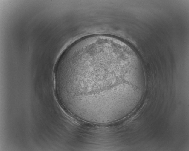 X0000067511509200604211737