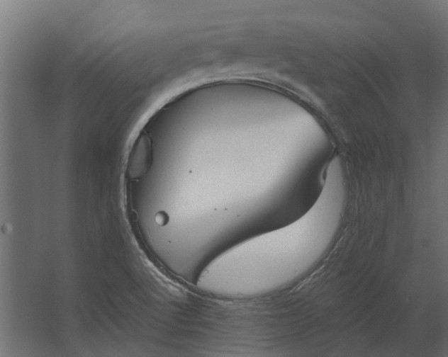 X0000067511512200604211737