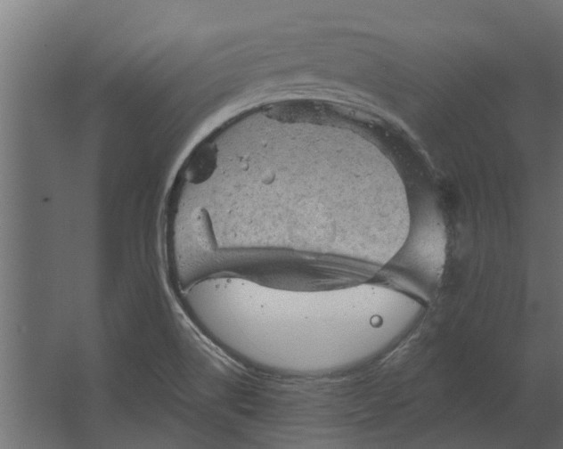 X0000067511514200604211737