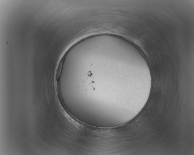 X0000067511516200604211737