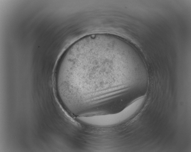 X0000067511517200604211737