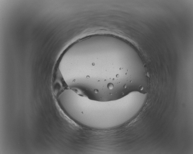 X0000067511518200604211737