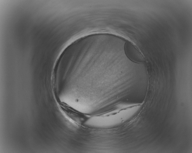 X0000067511519200604211737