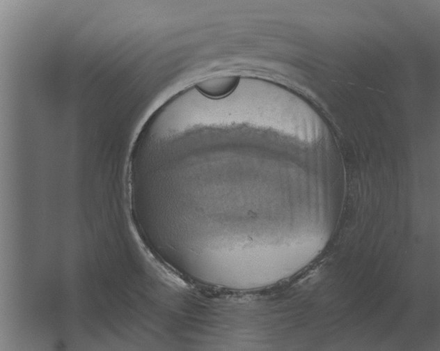 X0000067511522200604211738