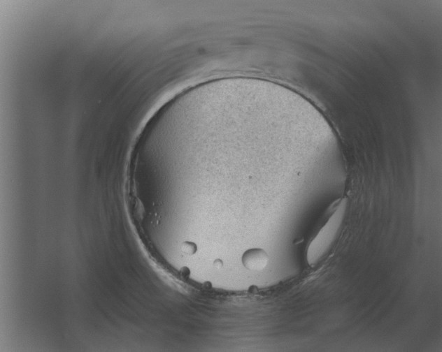 X0000067511523200604211738