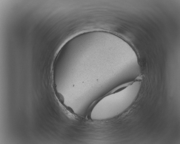 X0000067511524200604211738