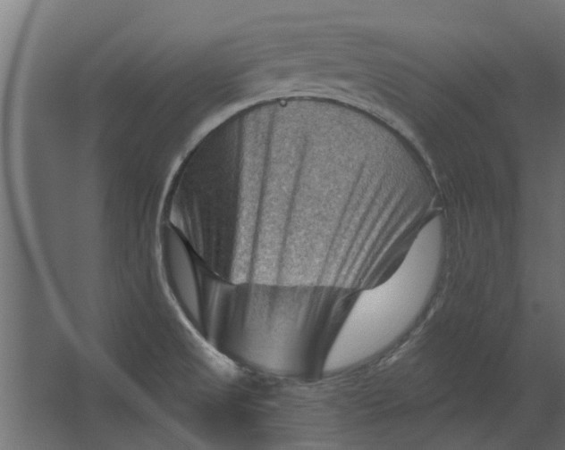 X0000067511525200604211738