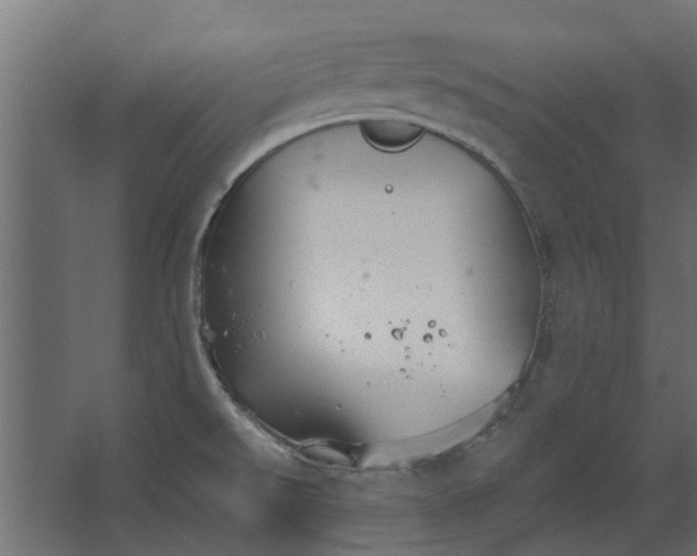 X0000067511526200604211738