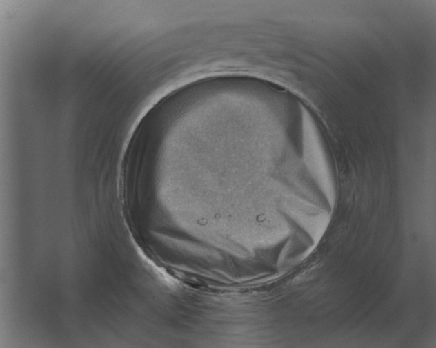 X0000067511527200604211738