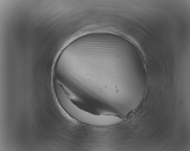 X0000067511528200604211738