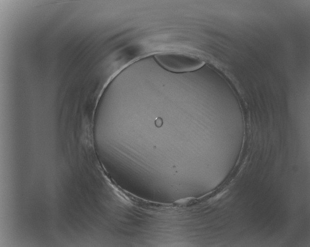 X0000067511529200604211738