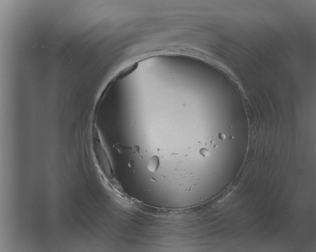 X0000067511530200604211738