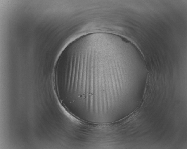 X0000067511531200604211738