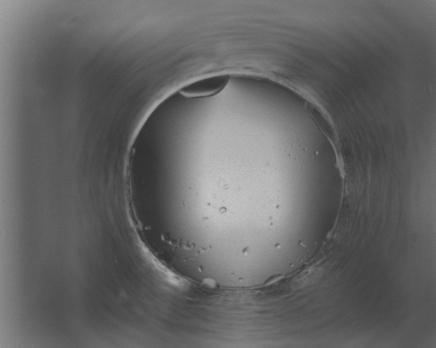 X0000067511532200604211738