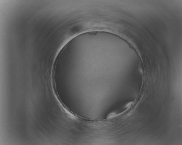 X0000067511533200604211738