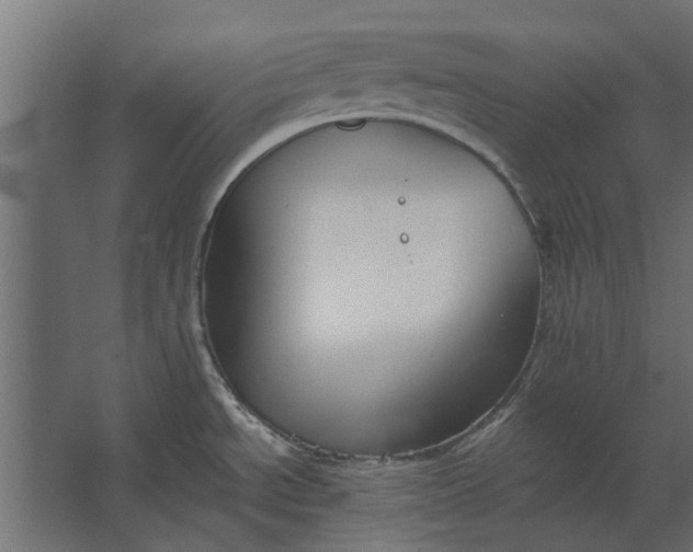 X0000067511534200604211738