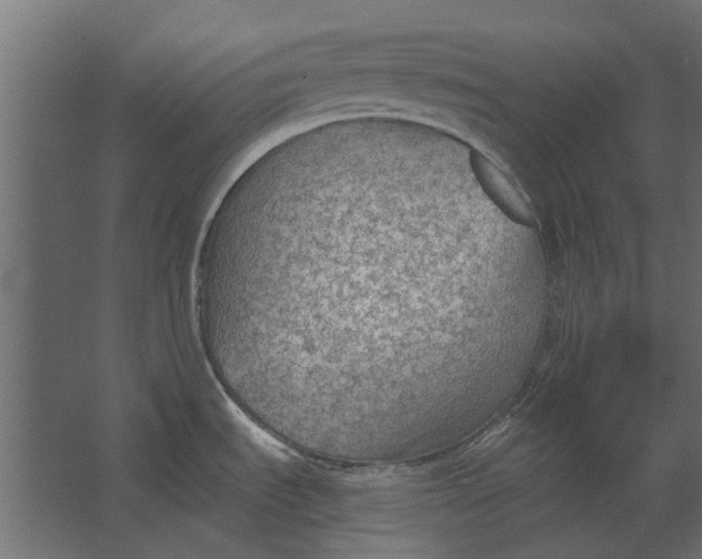 X0000067511535200604211738