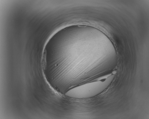 X0000067511536200604211738