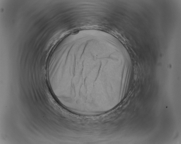 X0000067510002200604281620