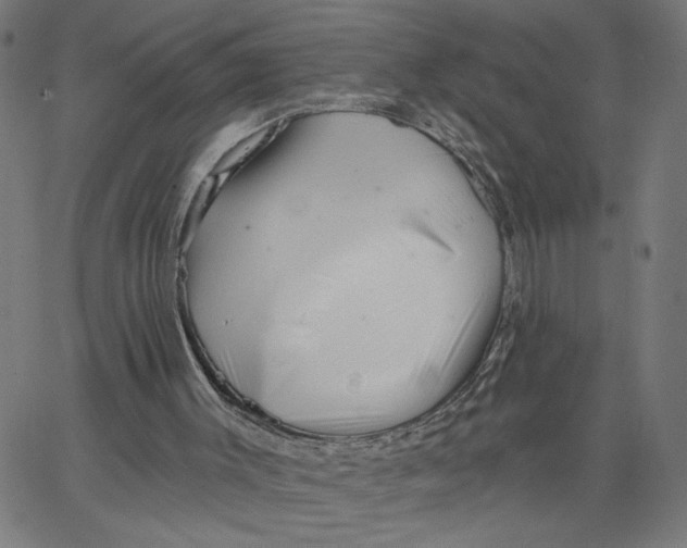 X0000067510003200604281620