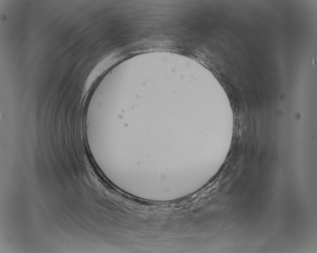 X0000067510004200604281620