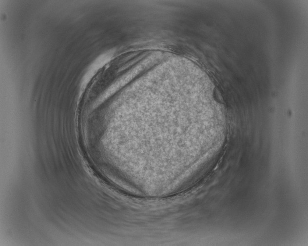 X0000067510006200604281620