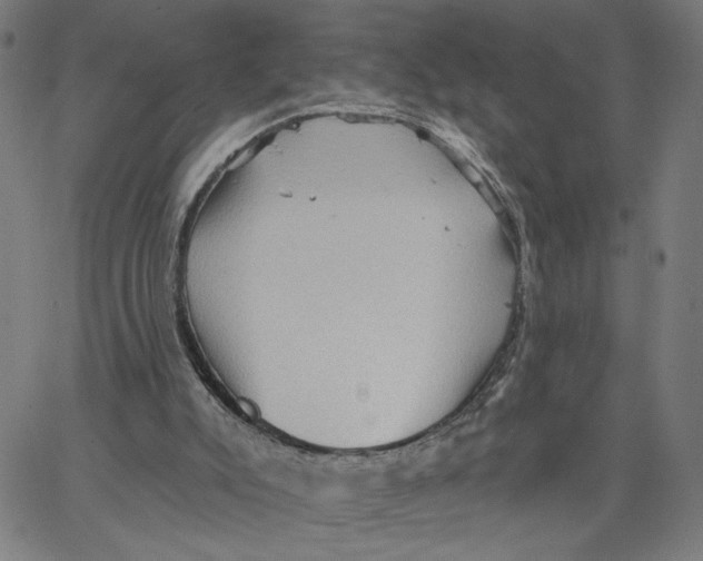 X0000067510007200604281620