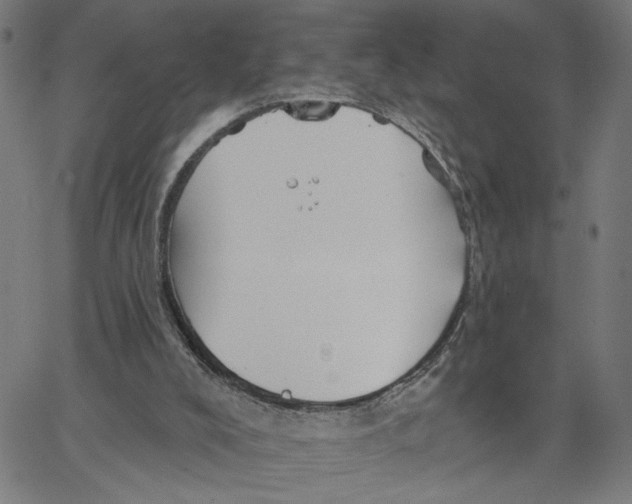 X0000067510008200604281620