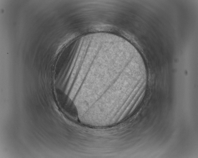 X0000067510010200604281620