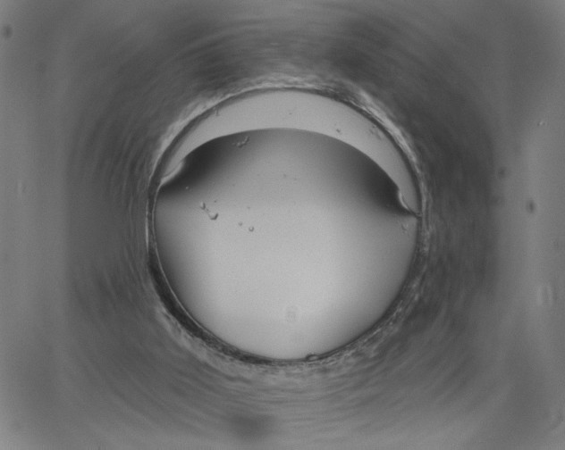 X0000067510011200604281620