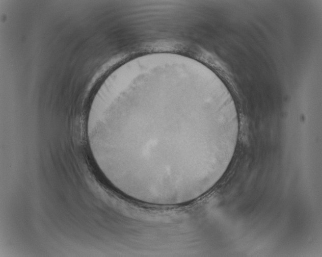 X0000067510012200604281620