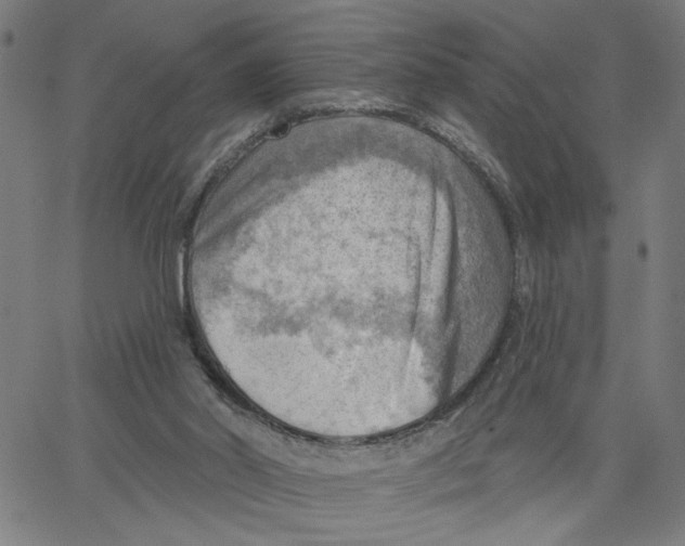 X0000067510014200604281620