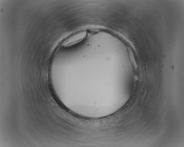 X0000067510015200604281620