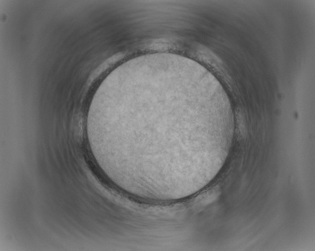 X0000067510016200604281620