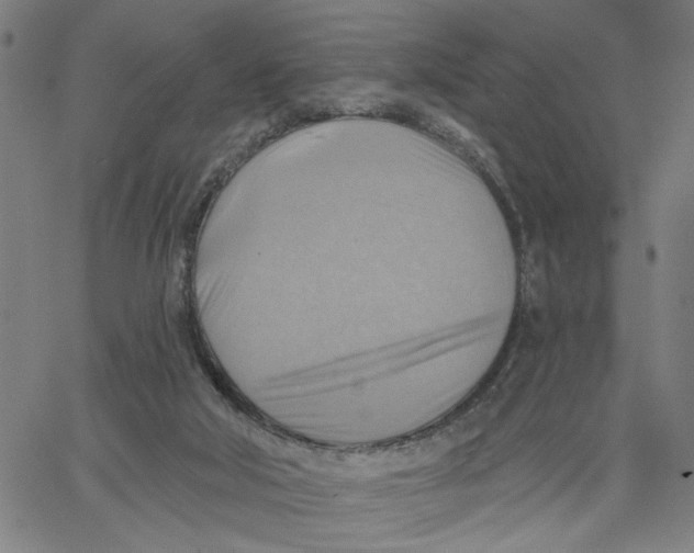 X0000067510018200604281620