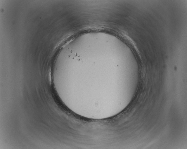 X0000067510020200604281620