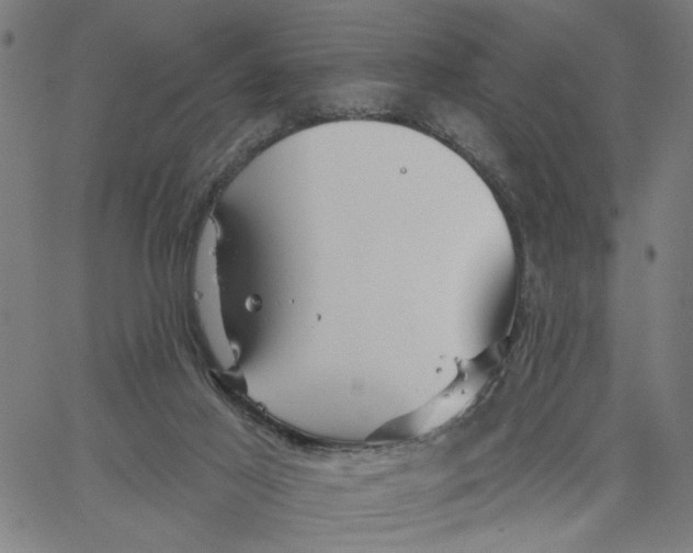 X0000067510021200604281620