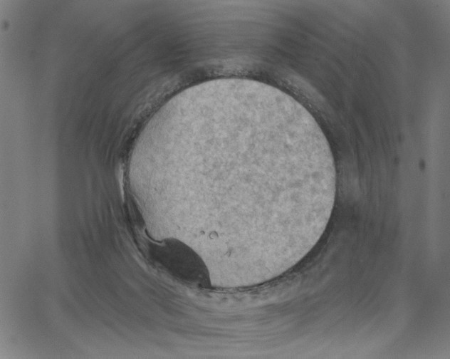 X0000067510022200604281620