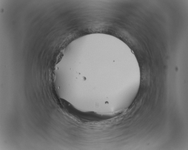 X0000067510025200604281620