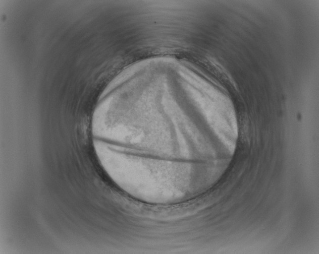 X0000067510026200604281620