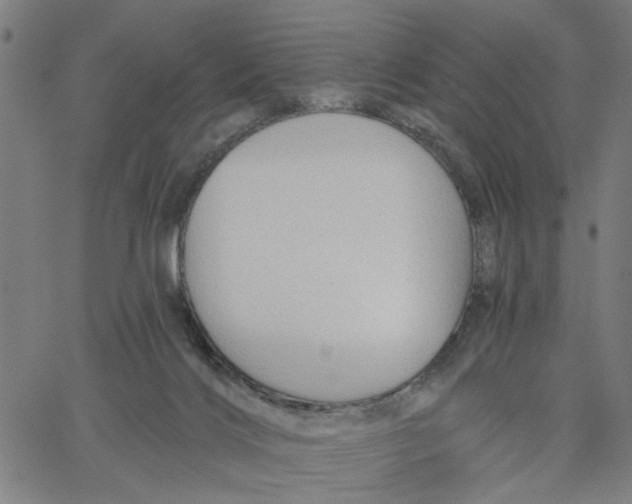 X0000067510028200604281620