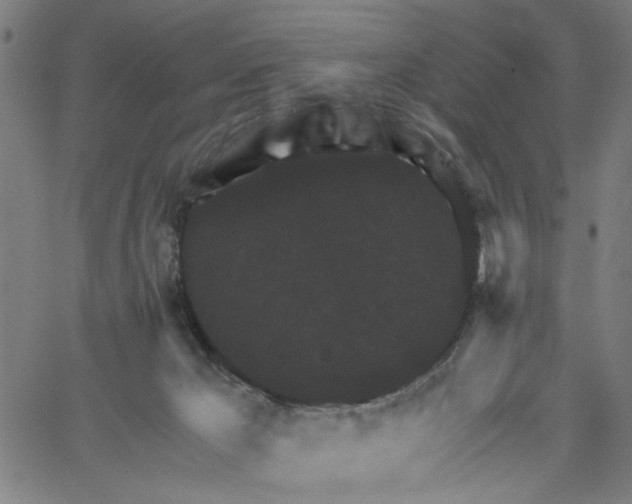 X0000067510029200604281620