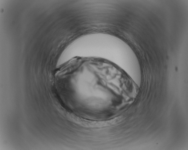 X0000067510031200604281620