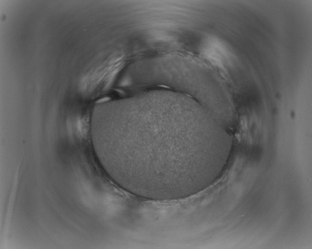 X0000067510033200604281620