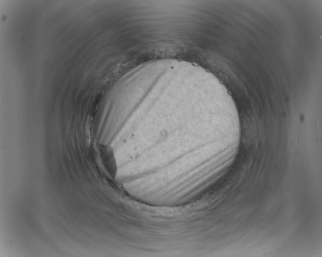 X0000067510034200604281620