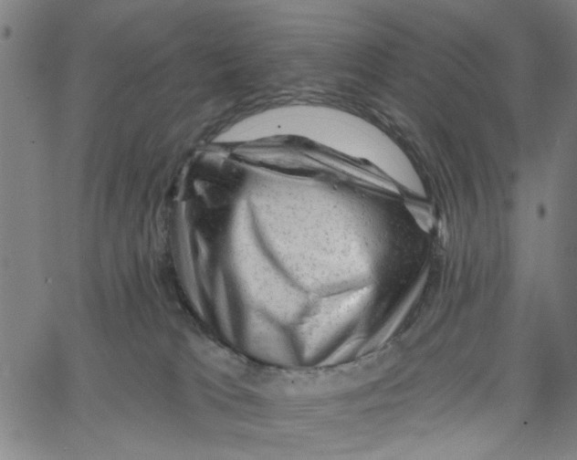 X0000067510037200604281620