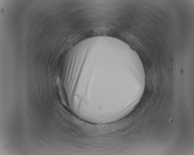 X0000067510038200604281620