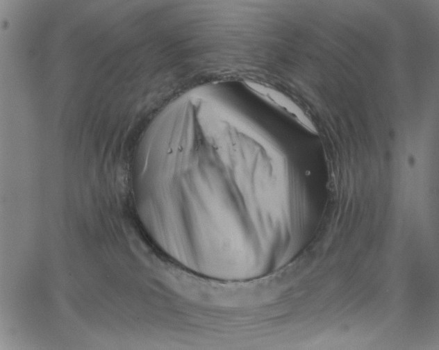 X0000067510039200604281620