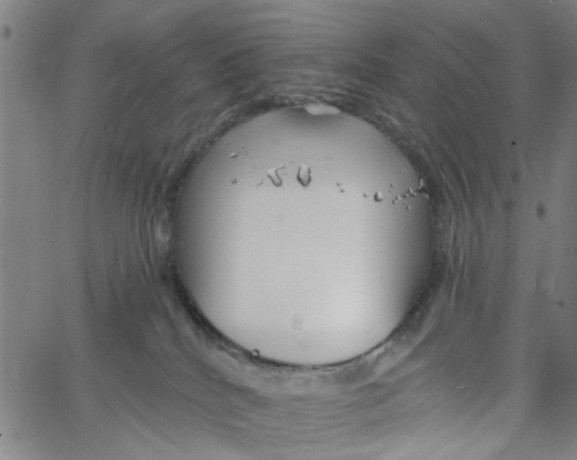 X0000067510040200604281620