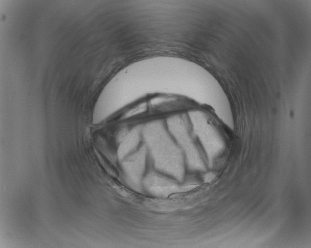 X0000067510041200604281620